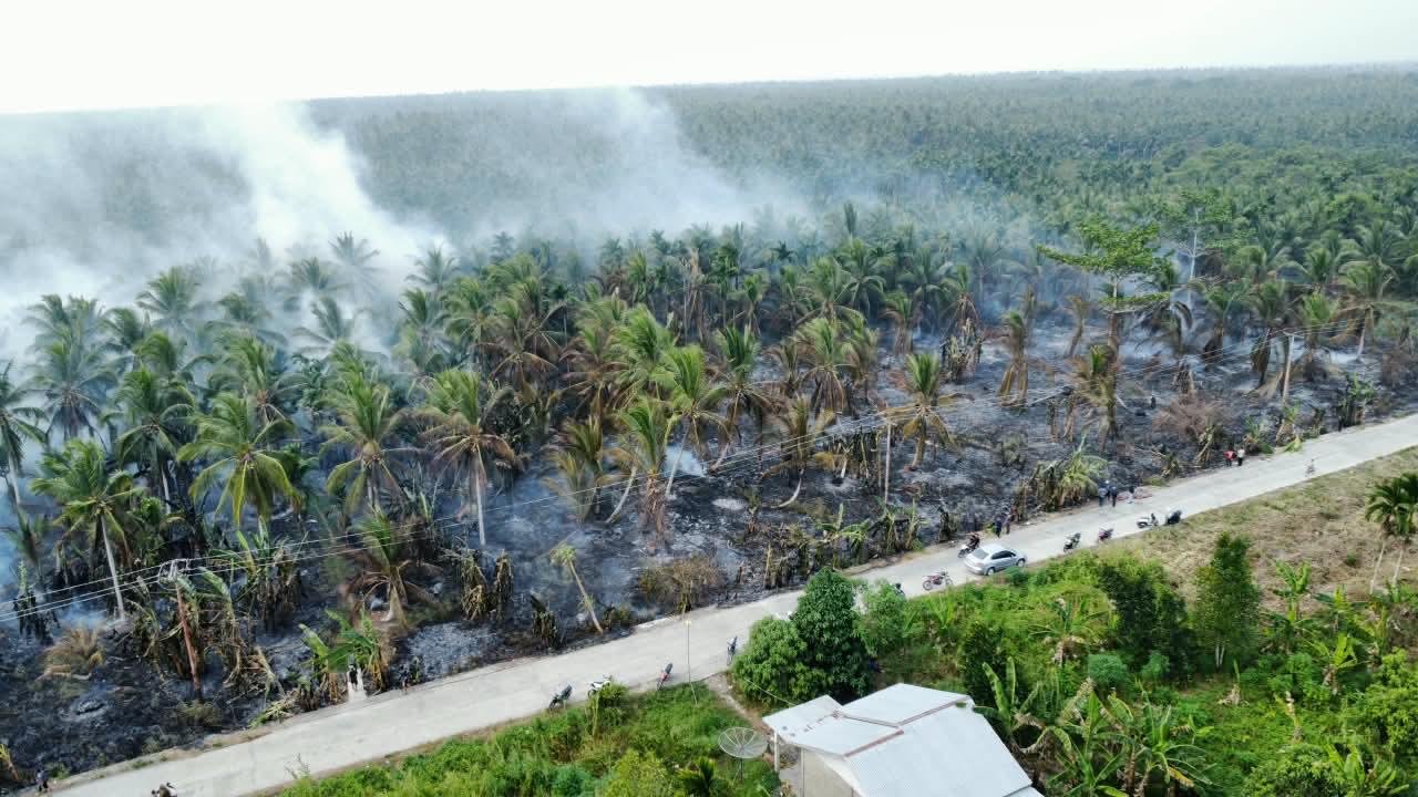 Kebakaran Perkebunan Kelapa di Inhil Akibatkan Asap Pekat Selimuti Jalan