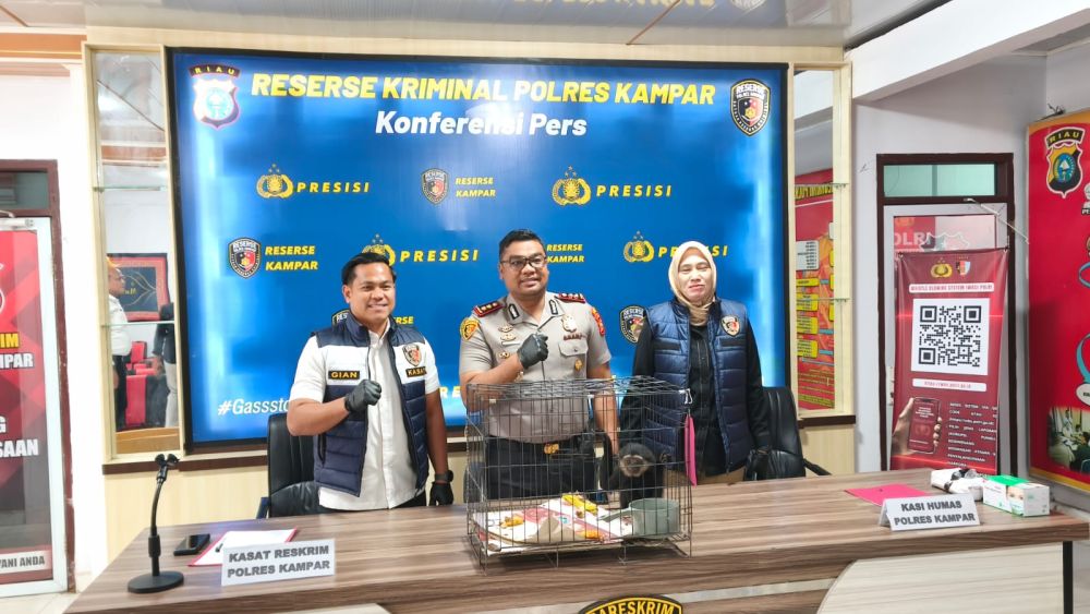 Patok Harga Rp 8 Juta, Transaksi Ilegal Owa Ungko Berakhir di Tangan Polisi